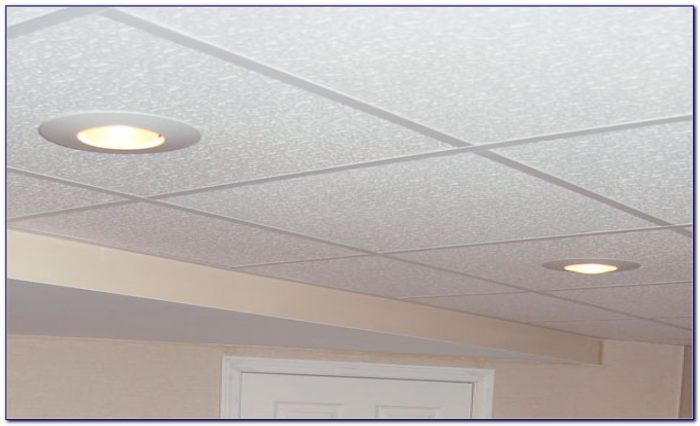Best Lighting For Basement Drop Ceiling Best Lighting For Basement Drop Ceiling
