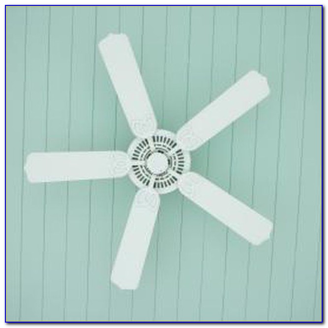 Ceiling Fan Blade Covers Palm Ceiling Fan Blade Covers Palm
