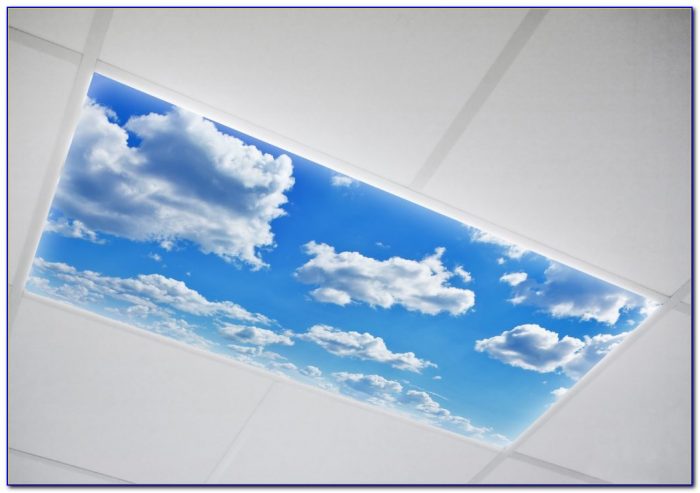 Covers For Fluorescent Ceiling Lights Covers For Fluorescent Ceiling Lights
