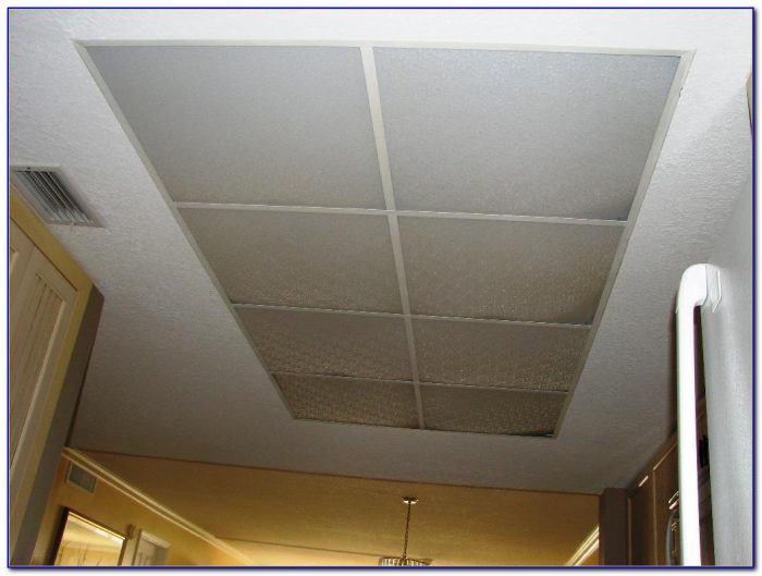 Drop Down Ceiling Lighting Options Drop Down Ceiling Lighting Options