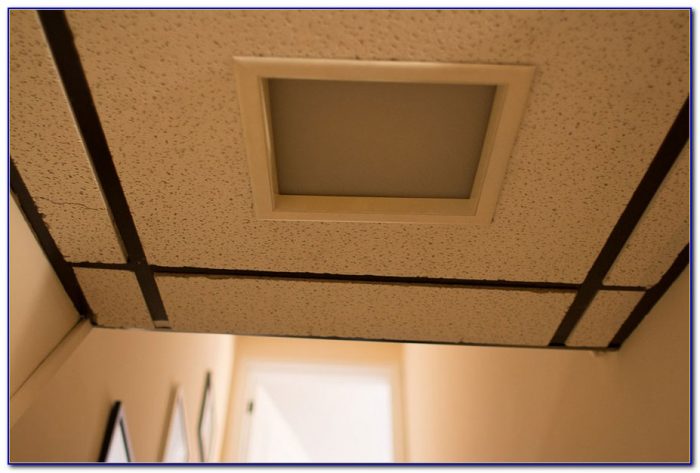 Halo Recessed Lighting For Drop Ceiling Halo Recessed Lighting For Drop Ceiling