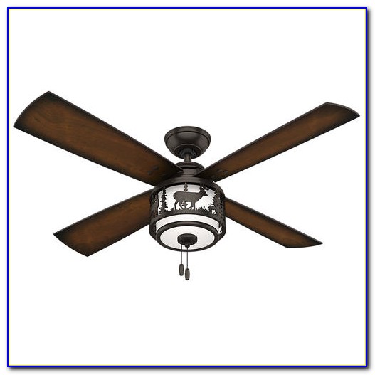 Hunter Ceiling Fan Light Kit Menards Hunter Ceiling Fan Light Kit Menards