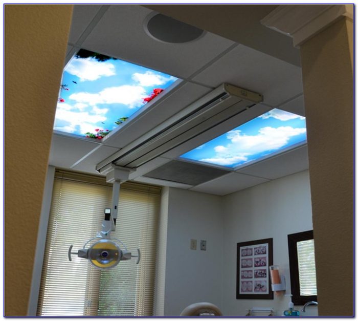 Installing Can Lights In Drop Ceiling Installing Can Lights In Drop Ceiling