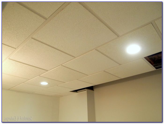 Lighting For Drop Ceiling Lighting For Drop Ceiling