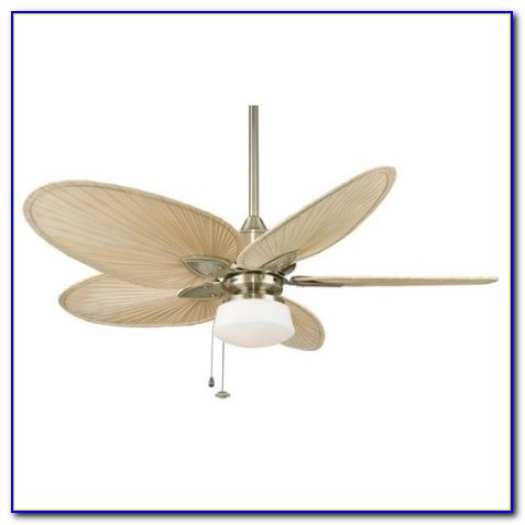 Schoolhouse Light Ceiling Fan Schoolhouse Light Ceiling Fan