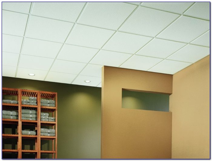 2 Hour Fire Rated Ceiling Assembly 2 Hour Fire Rated Ceiling Assembly