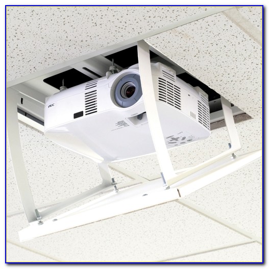 Auton Motorized Ceiling Mount Projector Lift Auton Motorized Ceiling Mount Projector Lift