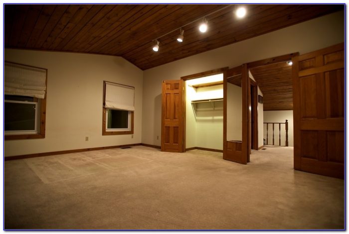 Best Track Lighting For Cathedral Ceilings Best Track Lighting For Cathedral Ceilings