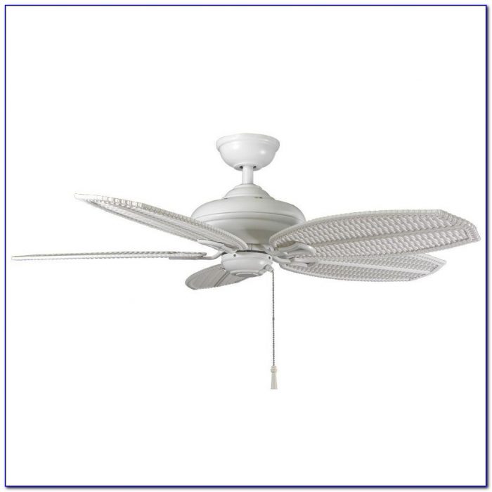 Hampton Bay Palm Beach Ii Ceiling Fan Hampton Bay Palm Beach Ii Ceiling Fan