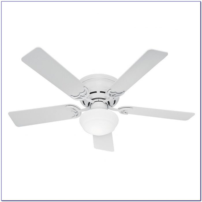 Hunter White Ceiling Fan 42 Hunter White Ceiling Fan 42
