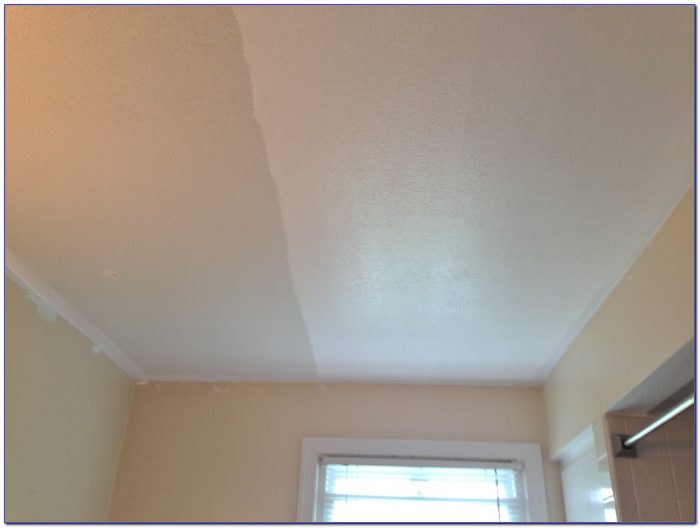 Mold Resistant Ceiling Paint Mold Resistant Ceiling Paint