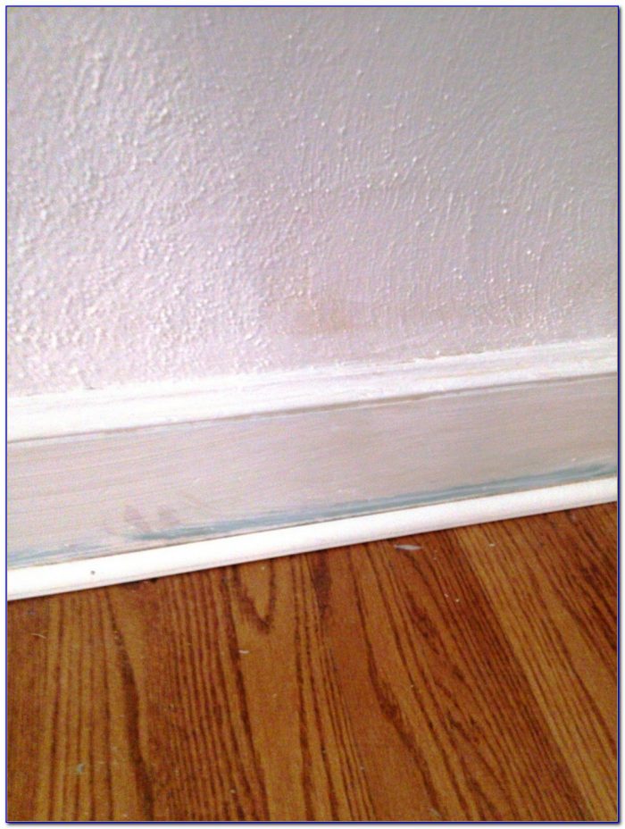 Mould Resistant White Ceiling Paint Mould Resistant White Ceiling Paint