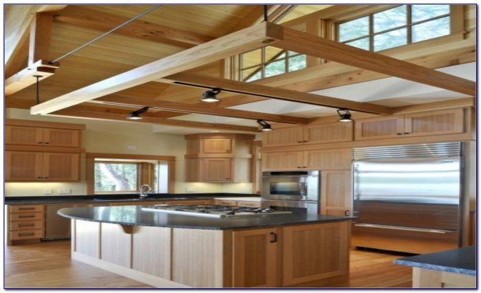 Track Lighting For Vaulted Kitchen Ceiling Track Lighting For Vaulted Kitchen Ceiling