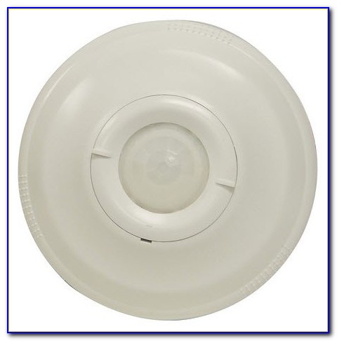 Wattstopper Ceiling Mounted Occupancy Sensor Wattstopper Ceiling Mounted Occupancy Sensor