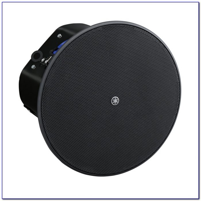 6 Or 8 Inch Ceiling Speakers 6 Or 8 Inch Ceiling Speakers