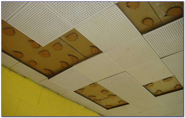 Armstrong Insulated Ceiling Panels Armstrong Insulated Ceiling Panels