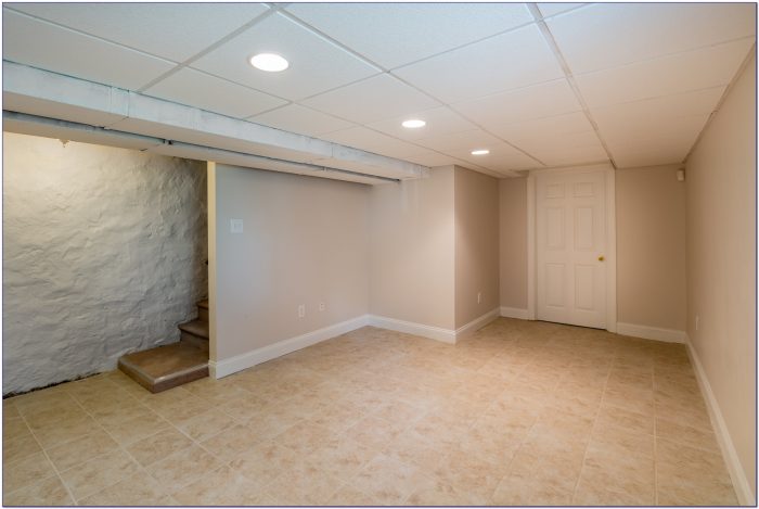 Ceiling Tiles For Basement With Acoustic Ceiling Tiles For Basement With Acoustic