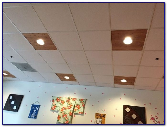 Lighting Options For Drop Down Ceilings Lighting Options For Drop Down Ceilings