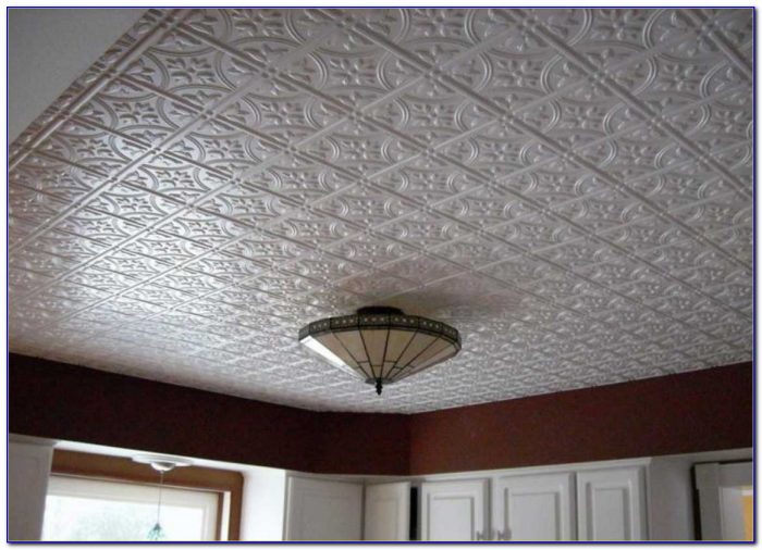 Pictures Of Barn Tin Ceilings Pictures Of Barn Tin Ceilings