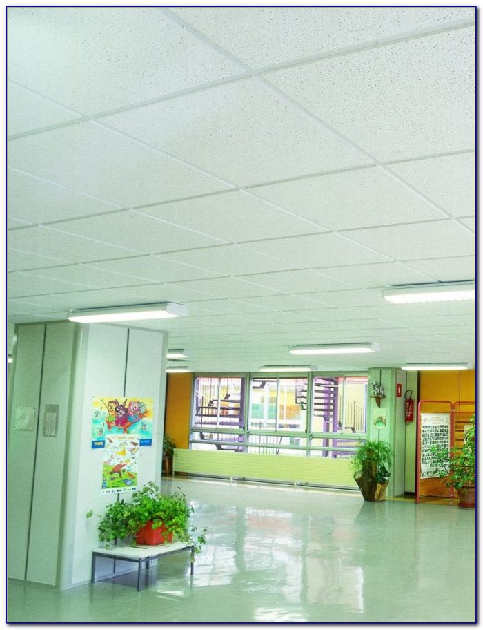 Armstrong Moisture Resistant Acoustical Ceiling Tile Armstrong Moisture Resistant Acoustical Ceiling Tile