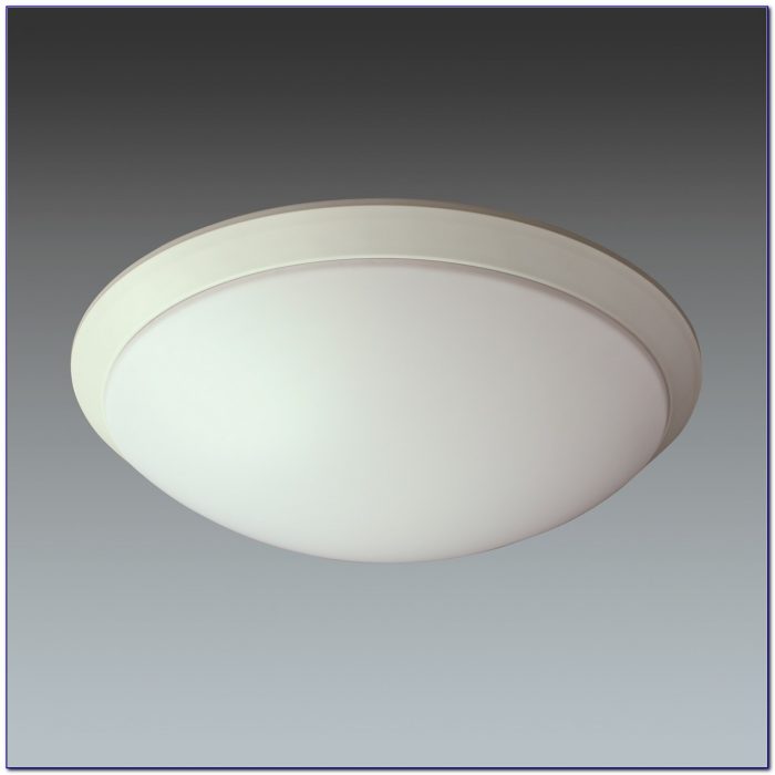 Ceiling Mounted Motion Sensor Light Ceiling Mounted Motion Sensor Light