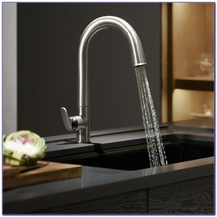 Kohler Kitchen Sink Faucets Kohler Kitchen Sink Faucets