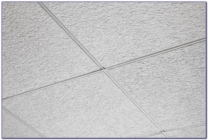 Acoustical Ceiling Tile Systems Acoustical Ceiling Tile Systems Usg Eclipse Acoustical Panels For Noise Reduction Acoustical 1280 X 853 Acoustical Ceiling Tile Systems Acoustical Ceiling Tile Systems Usg Eclipse Acoustical Panels For Noise Reduction Acoustical 1280 X 853