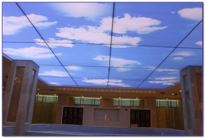 Pvc Stretch Ceiling Film Uk Pvc Stretch Ceiling Film Uk