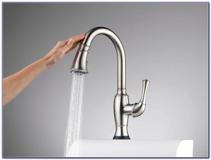 Hands Free Kitchen Faucet Awesome Check Out These Hands Free Kitchen Faucet Home Depot For Your Hands Free Kitchen Faucet Awesome Check Out These Hands Free Kitchen Faucet Home Depot For Your