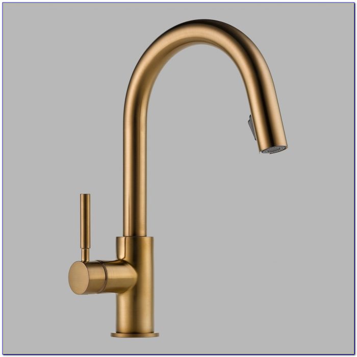 Rubbed Bronze Kitchen Faucets Rubbed Bronze Kitchen Faucets